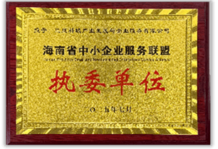 海南省中小企业服务联盟暨首届执行委员单位